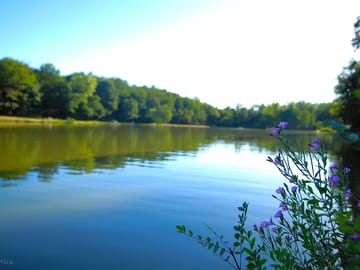 The lake