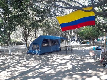 Pitches shaded by trees