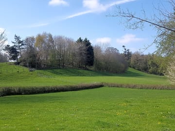 Grassy plots