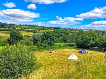 Meadow pitches