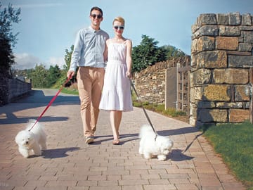Family-friendly park next to Black Rock Sands beach; pets welcome