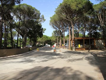 General view of the site