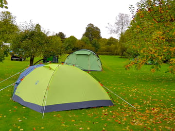 Camping in the orchard