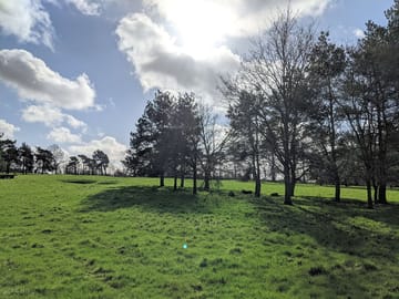 The fairway