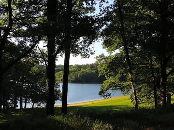 Lake surrounded by forest