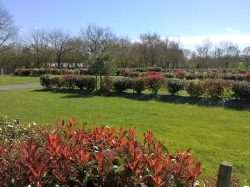 Spacious pitches for caravan and motorhome