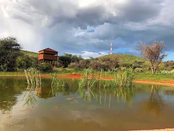 Watering hole and game hide