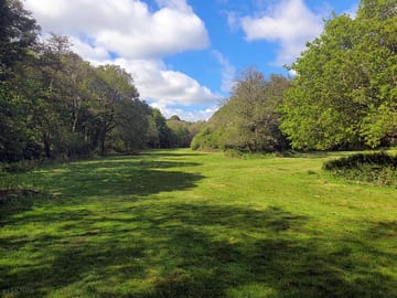 Surrounded by woodlands