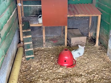 At the farm