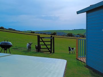 View across the fields from the garden area, with tilly, hattie and gracie looking on