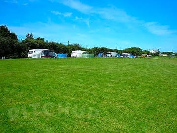 The site