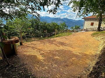 Tree-shaded pitches