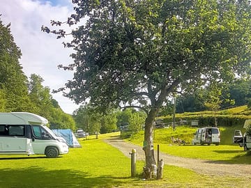 Around the site