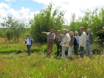 Book orchard tours with cider tasting