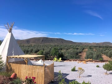 View over the olive groves
