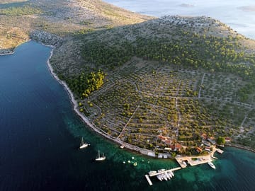 Žut island