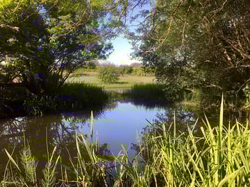 Looking across the pond from campers corner