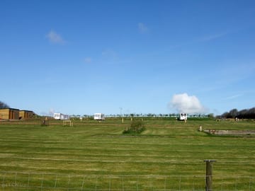 Grass pitches