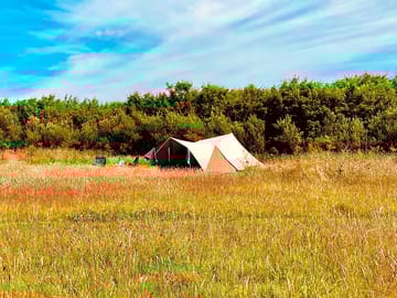 One of the secluded pitches