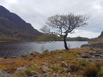 Cwm bychan lake