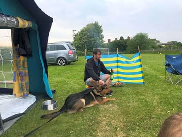 Dog-friendly space