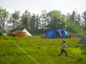 Meadow pitches