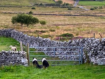 View towards the lleyn