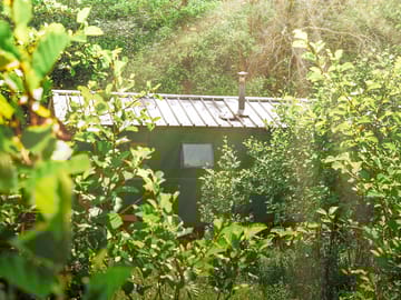 Surrounded by trees