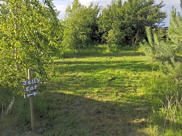 Grass pitches