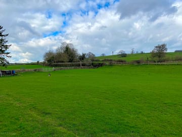 Grass pitch