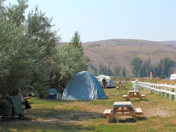 Tent sites with views of the lost river range
