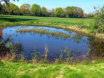 Pond to relax by
