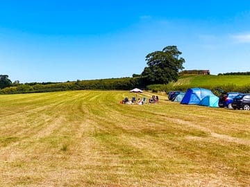 Grassy field