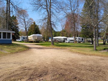 Trees around the campground