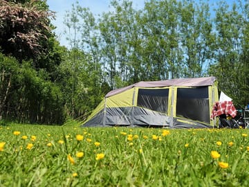 Tent pitch by the willow dome