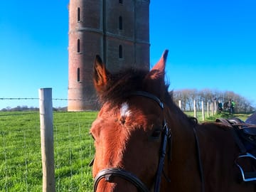Horton tower opposite dean meadow