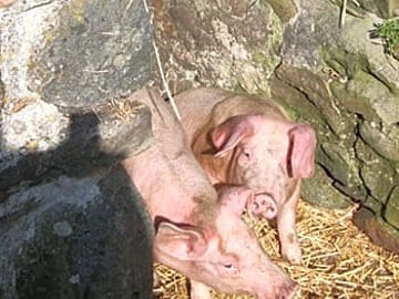Local residents