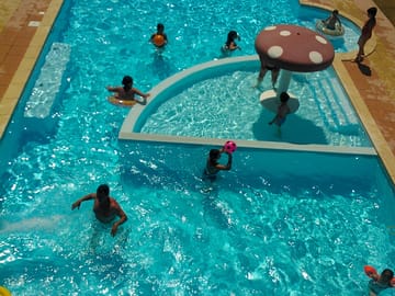 The pool