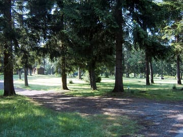 Shaded pitches