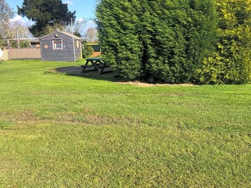No cars pitch