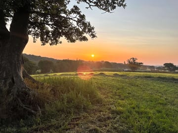 Sunrise from the top of the camping meadow