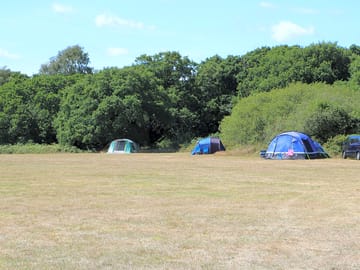 Meadows south field