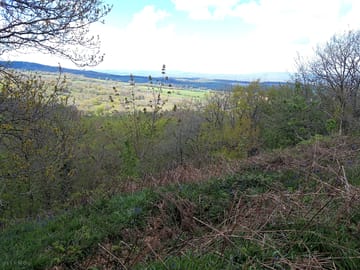Views at the top of castle neroche