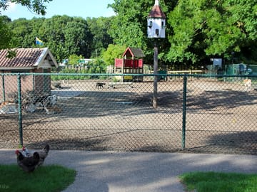 Play area