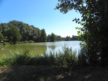 Lake view