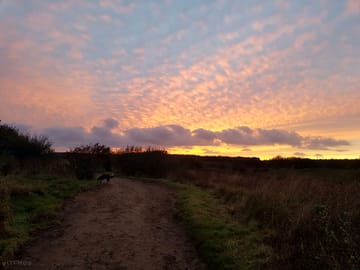 Sun set