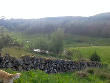 View from the site