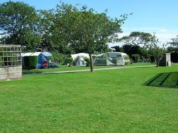 Hedged grass pitch with electric electric grass pitch
