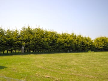 Grass pitches