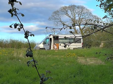 Grass pitch